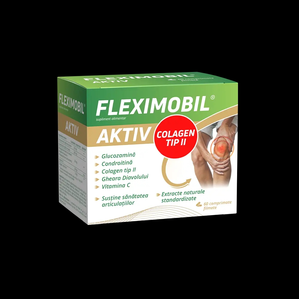 FLEXIMOBIL - Aktiv